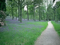 Walks in wood in a combination with Xenical will accelerate excess weight loss